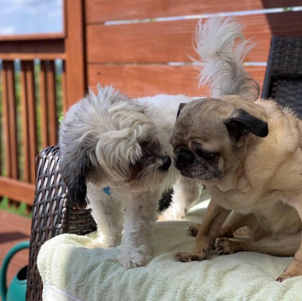 Meet your Posher, Jason